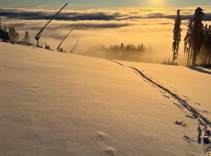 Дом отдыха Strandberg's Onkel Tommys Huette Браунлаге